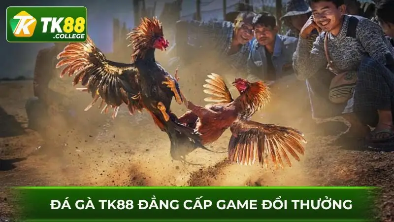 Dang-cap-doi-thuong-voi-cac-tran-da-ga-TK88