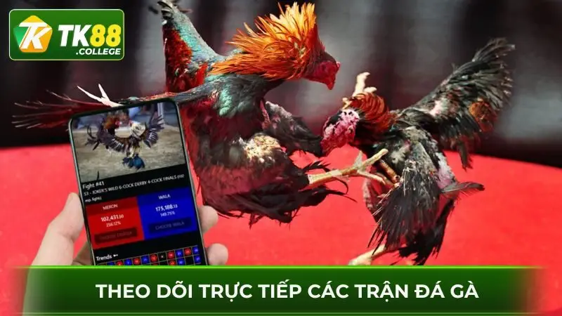 Dang-ky-choi-da-ga-theo-doi-truc-tuyen