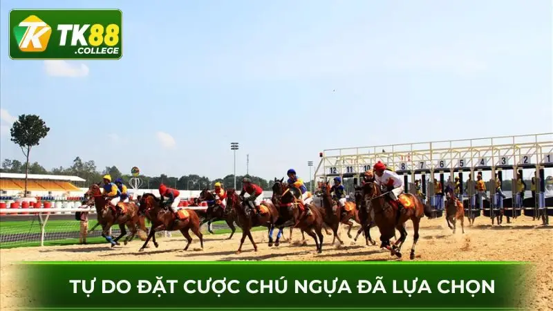 Tu-do-dat-cuoc-dua-ngua-TK88-voi-cac-thao-tac-de-dang